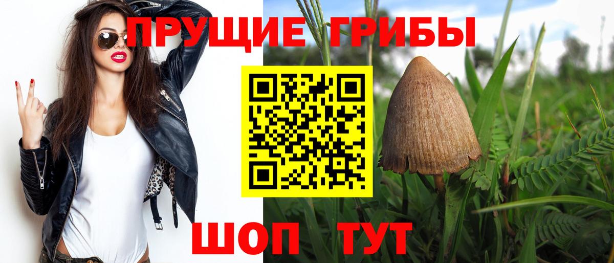 Артёмовский  Псилоцибиновые грибы мицелий  Вход с VPN 